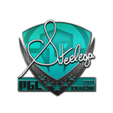 Sticker | steel | Krakow 2017