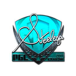 Sticker | steel (Foil) | Krakow 2017
