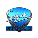 Sticker | cajunb (Foil) | Krakow 2017