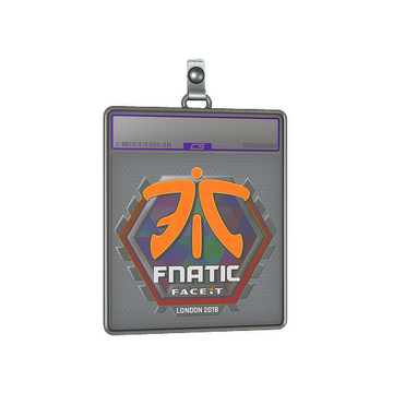 Sticker Slab | Fnatic (Holo) | London 2018
