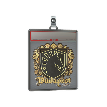 Sticker Slab | Team Liquid (Gold) | Budapest 2025