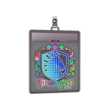 Sticker Slab | Team Liquid (Holo) | Budapest 2025