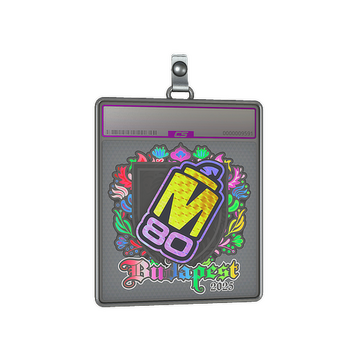 Sticker Slab | M80 (Holo) | Budapest 2025
