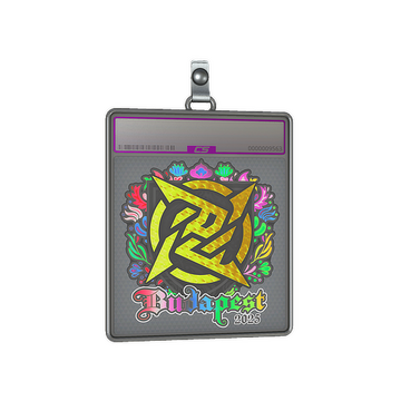 Sticker Slab | Ninjas in Pyjamas (Holo) | Budapest 2025