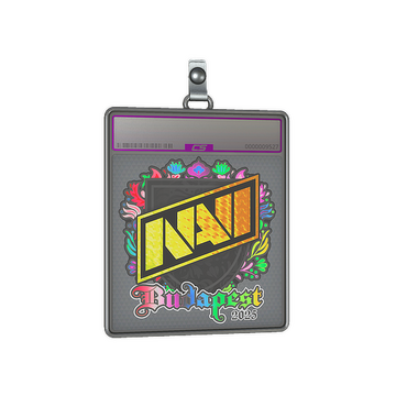 Sticker Slab | Natus Vincere (Holo) | Budapest 2025