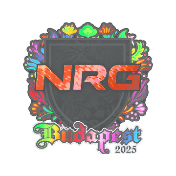 Sticker | NRG (Holo) | Budapest 2025