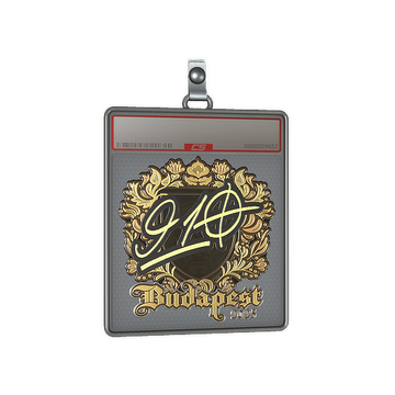 Sticker Slab | 910 (Gold) | Budapest 2025