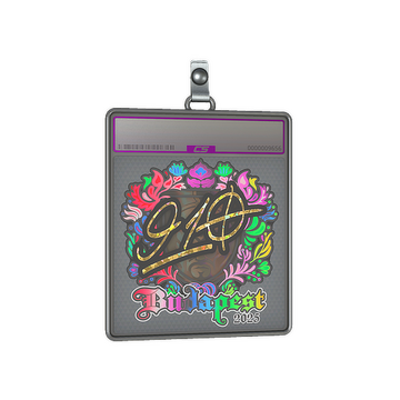 Sticker Slab | 910 (Holo) | Budapest 2025