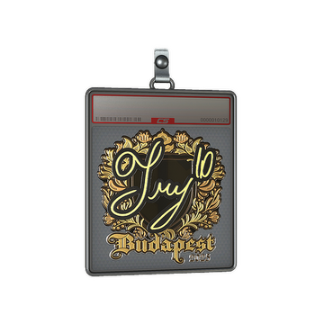 Sticker Slab | TRY (Gold) | Budapest 2025