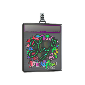 Sticker Slab | TRY (Holo) | Budapest 2025