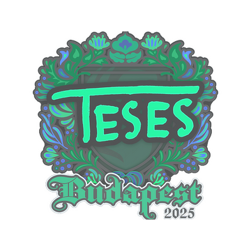 Sticker | TeSeS | Budapest 2025