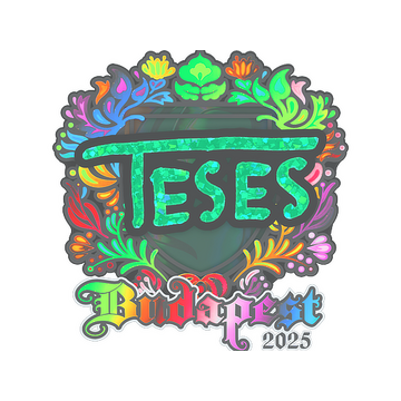 Sticker | TeSeS (Holo) | Budapest 2025