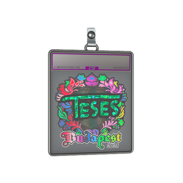 Sticker Slab | TeSeS (Holo) | Budapest 2025