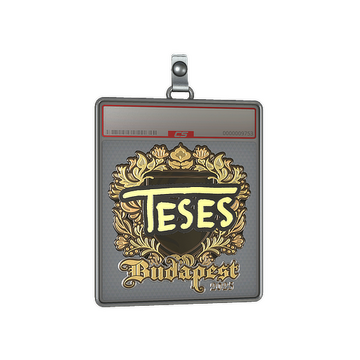Sticker Slab | TeSeS (Gold) | Budapest 2025
