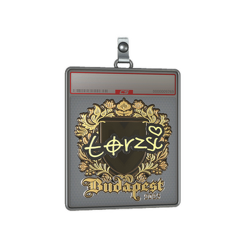 Sticker Slab | torzsi (Gold) | Budapest 2025