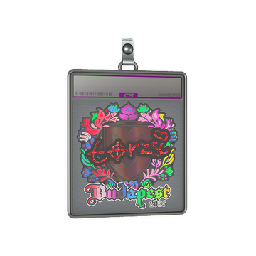 Sticker Slab | torzsi (Holo) | Budapest 2025