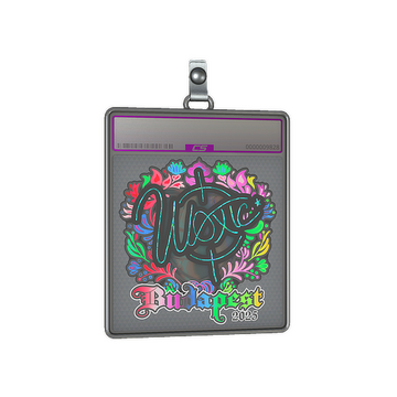 Sticker Slab | woxic (Holo) | Budapest 2025