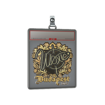 Sticker Slab | woxic (Gold) | Budapest 2025