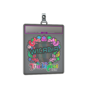 Sticker Slab | Wicadia (Holo) | Budapest 2025