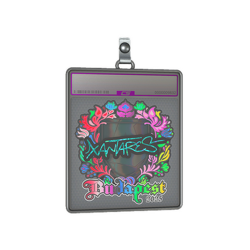 Sticker Slab | XANTARES (Holo) | Budapest 2025