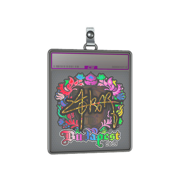 Sticker Slab | z4KR (Holo) | Budapest 2025