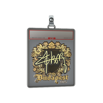 Sticker Slab | z4KR (Gold) | Budapest 2025