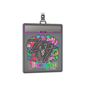 Sticker Slab | zevy (Holo) | Budapest 2025