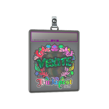 Sticker Slab | vexite (Holo) | Budapest 2025