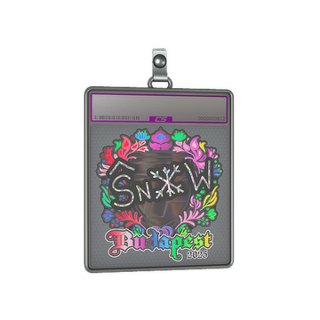 Sticker Slab | snow (Holo) | Budapest 2025