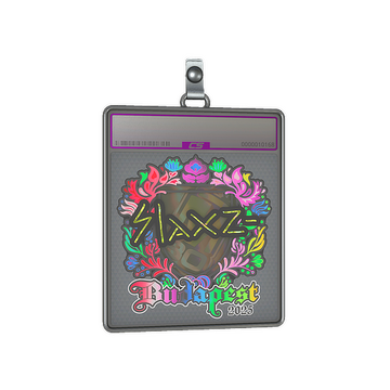 Sticker Slab | slaxz- (Holo) | Budapest 2025