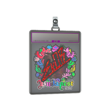 Sticker Slab | sk0R (Holo) | Budapest 2025