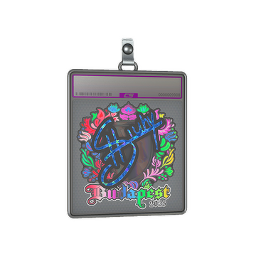 Sticker Slab | siuhy (Holo) | Budapest 2025