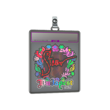 Sticker Slab | Staehr (Holo) | Budapest 2025