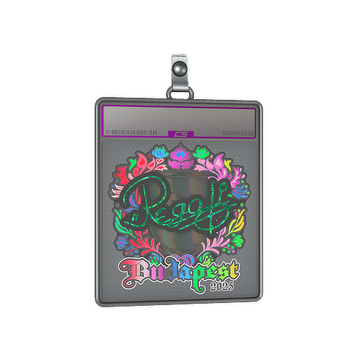 Sticker Slab | regali (Holo) | Budapest 2025