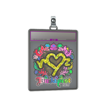 Sticker Slab | ropz (Holo) | Budapest 2025