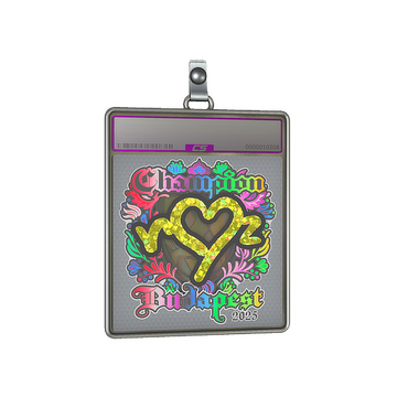 Sticker Slab | ropz (Holo, Champion) | Budapest 2025