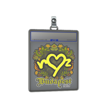 Sticker Slab | ropz | Budapest 2025