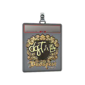 Sticker Slab | dgt (Gold) | Budapest 2025