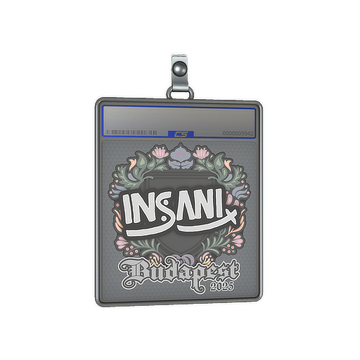 Sticker Slab | insani | Budapest 2025