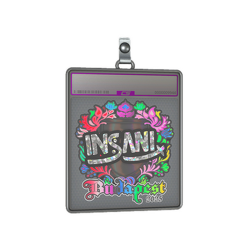 Sticker Slab | insani (Holo) | Budapest 2025