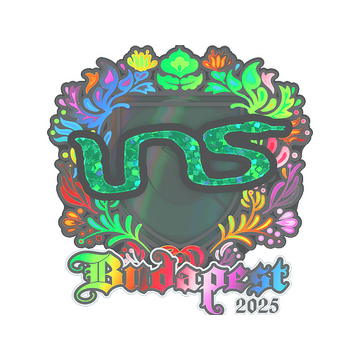 Sticker | INS (Holo) | Budapest 2025