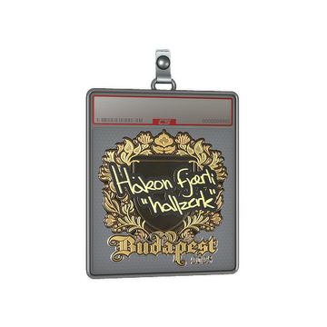 Sticker Slab | hallzerk (Gold) | Budapest 2025