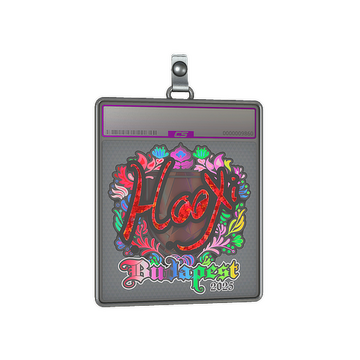 Sticker Slab | HooXi (Holo) | Budapest 2025