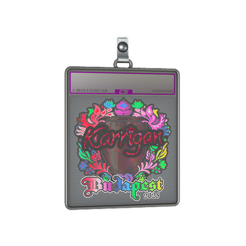 Sticker Slab | karrigan (Holo) | Budapest 2025