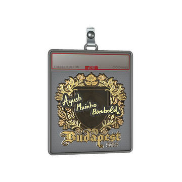 Sticker Slab | mzinho (Gold) | Budapest 2025