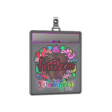 Sticker Slab | frozen (Holo) | Budapest 2025