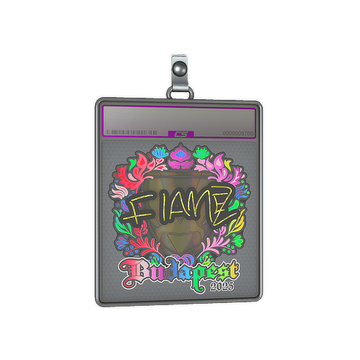 Sticker Slab | FlameZ (Holo) | Budapest 2025