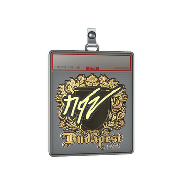 Sticker Slab | NQZ (Gold) | Budapest 2025