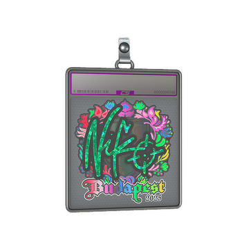 Sticker Slab | NiKo (Holo) | Budapest 2025