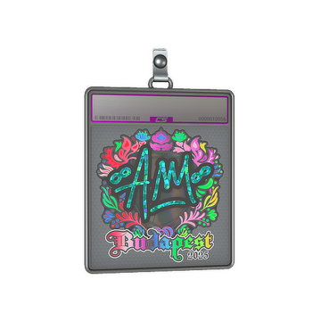 Sticker Slab | AW (Holo) | Budapest 2025